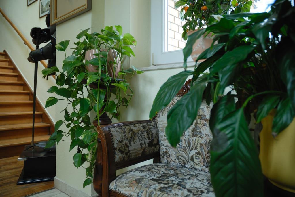 Haus "Beuth" Apartment Бад Елстер Екстериор снимка