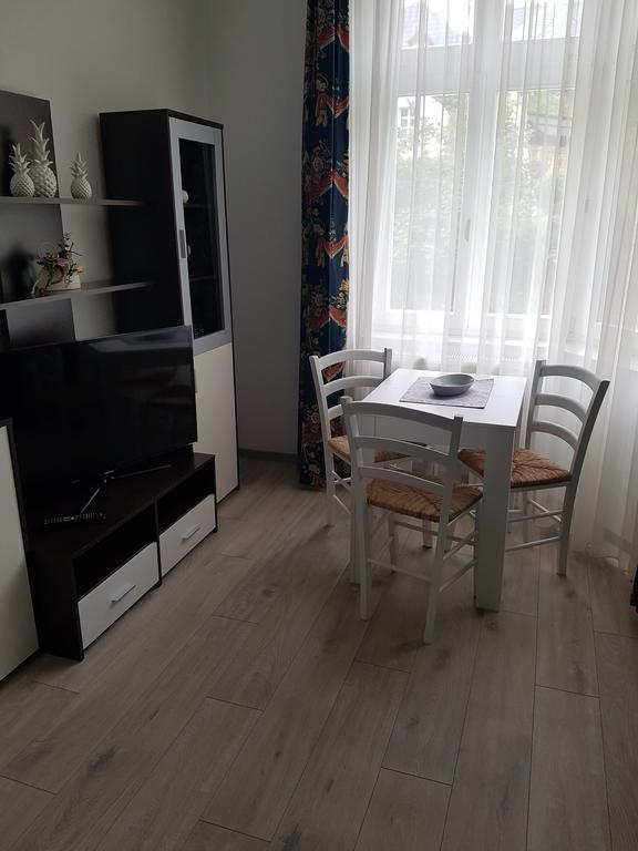 Haus "Beuth" Apartment Бад Елстер Екстериор снимка